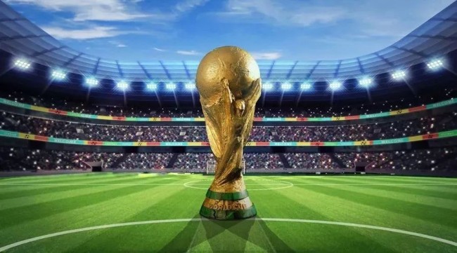 禁区顶专人 禁区顶专人