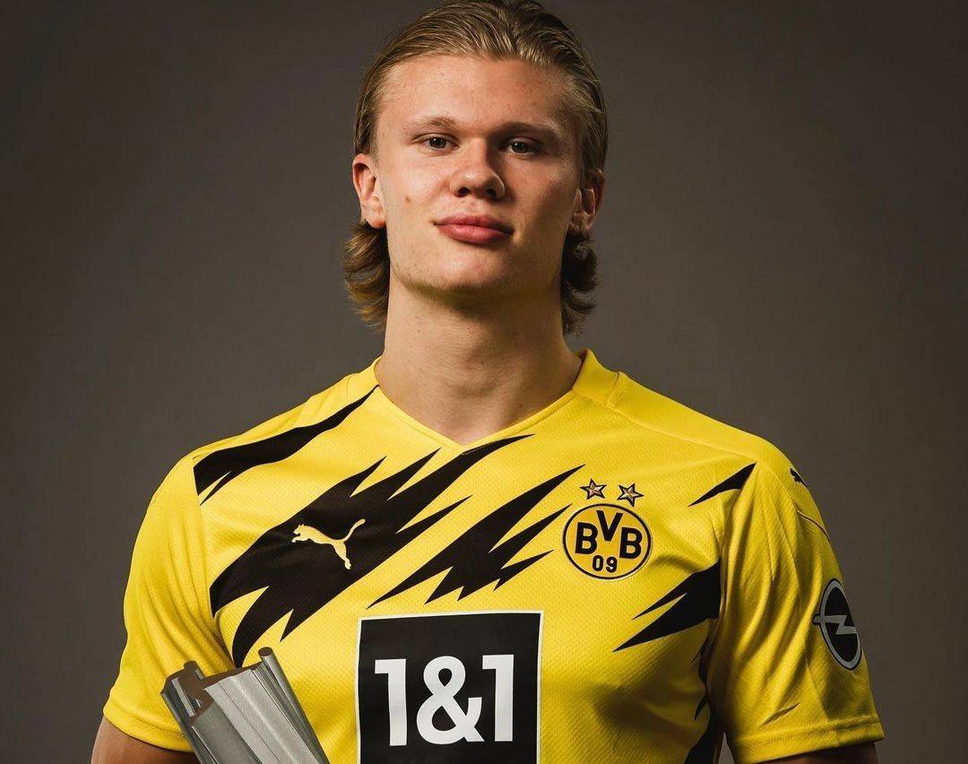 牌河里已见 牌河里已见